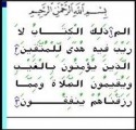 Pocket Quran Alcatel 2001 Application