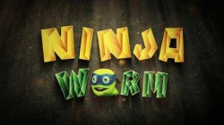 Ninja Worm