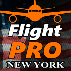 Pro Flight Simulator NY