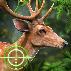 Deer Hunting 2018