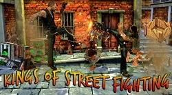 Kings Of Street Fighting: Kung Fu Future Fight