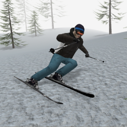 Alpine Ski 3