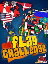 Flag Challenge