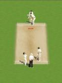 Krish Cricket Java Mobile Phone Game
