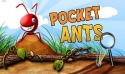 Pocket Ants Samsung Galaxy Pocket S5300 Game