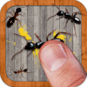 Ant Smasher Android Mobile Phone Game