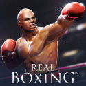 Real Boxing Android Mobile Phone Game