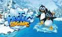 Arctic Escape HD QMobile NOIR A8 Game