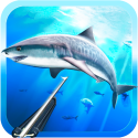 Spearfishing 3D Android Mobile Phone Game