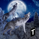Angry Wolf Simulator 3D Android Mobile Phone Game