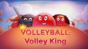 Volleyball: Volley King QMobile NOIR A8 Game