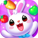 Fruit Bunny Mania Android Mobile Phone Game