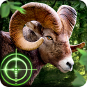 Wild Hunter 3D QMobile NOIR A5 Game