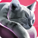 Cat Hotel: Hotel For Cute Cats QMobile NOIR A8 Game