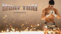 Muay Thai: Fighting Origins Android Mobile Phone Game