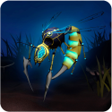 Wasp Simulator Android Mobile Phone Game