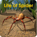 Life Of Spider Android Mobile Phone Game