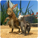 Clan Of Rabbits Samsung Galaxy Tab 2 7.0 P3100 Game