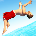 Flip Diving Android Mobile Phone Game
