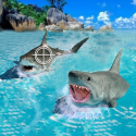 Shark Hunting 3D: Deep Dive 2 QMobile Noir A6 Game