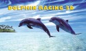 Dolphin Racing 3D Android Mobile Phone Game