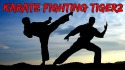 Karate Fighting Tiger 3D 2 QMobile NOIR A8 Game