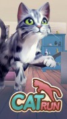Cat Run Samsung Galaxy Tab 2 7.0 P3100 Game