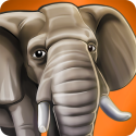 Pet World: Wildlife Africa Samsung Galaxy Tab 2 7.0 P3100 Game