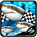 Fish Race Samsung Galaxy Pocket S5300 Game