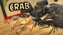 Crab Simulator 3D Android Mobile Phone Game