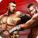 Champion Fight 3D Android Mobile Phone Game