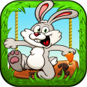 Bunny Run 2 Android Mobile Phone Game