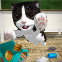 Cat Simulator And Friends! Android Mobile Phone Game