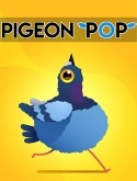 Pigeon Pop Android Mobile Phone Game