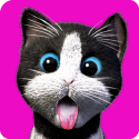 Daily Kitten: Virtual Cat Pet Android Mobile Phone Game