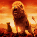 Talking Lion Android Mobile Phone Game