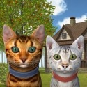 Cat Simulator 2020 Android Mobile Phone Game