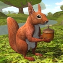 Squirrel Simulator 2 : Online Android Mobile Phone Game