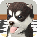 Dog Simulator Puppy Craft Prestigio MultiPhone 5300 Duo Game