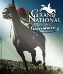 Grand National Aintree Ultimate Alcatel 2007 Game