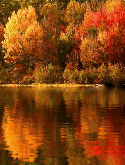 Colorful Lake  Mobile Phone Screensaver
