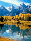 Beautiful Lake With Trees Alcatel 2001 Screensaver