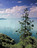 Green Island Sea Alcatel 2001 Screensaver