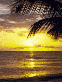 Download Free Yellow Evening Mobile Phone Screensavers