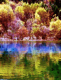 Beautiful Lake QMobile E450 Screensaver