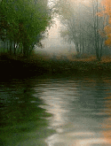 Forest Lake LG G360 Screensaver
