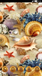 Sea Shells CLauncher