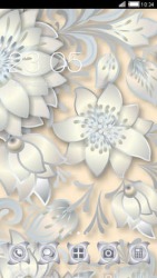 White Flowers CLauncher
