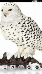 White Owl CLauncher
