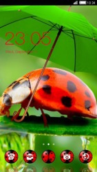 Ladybug CLauncher